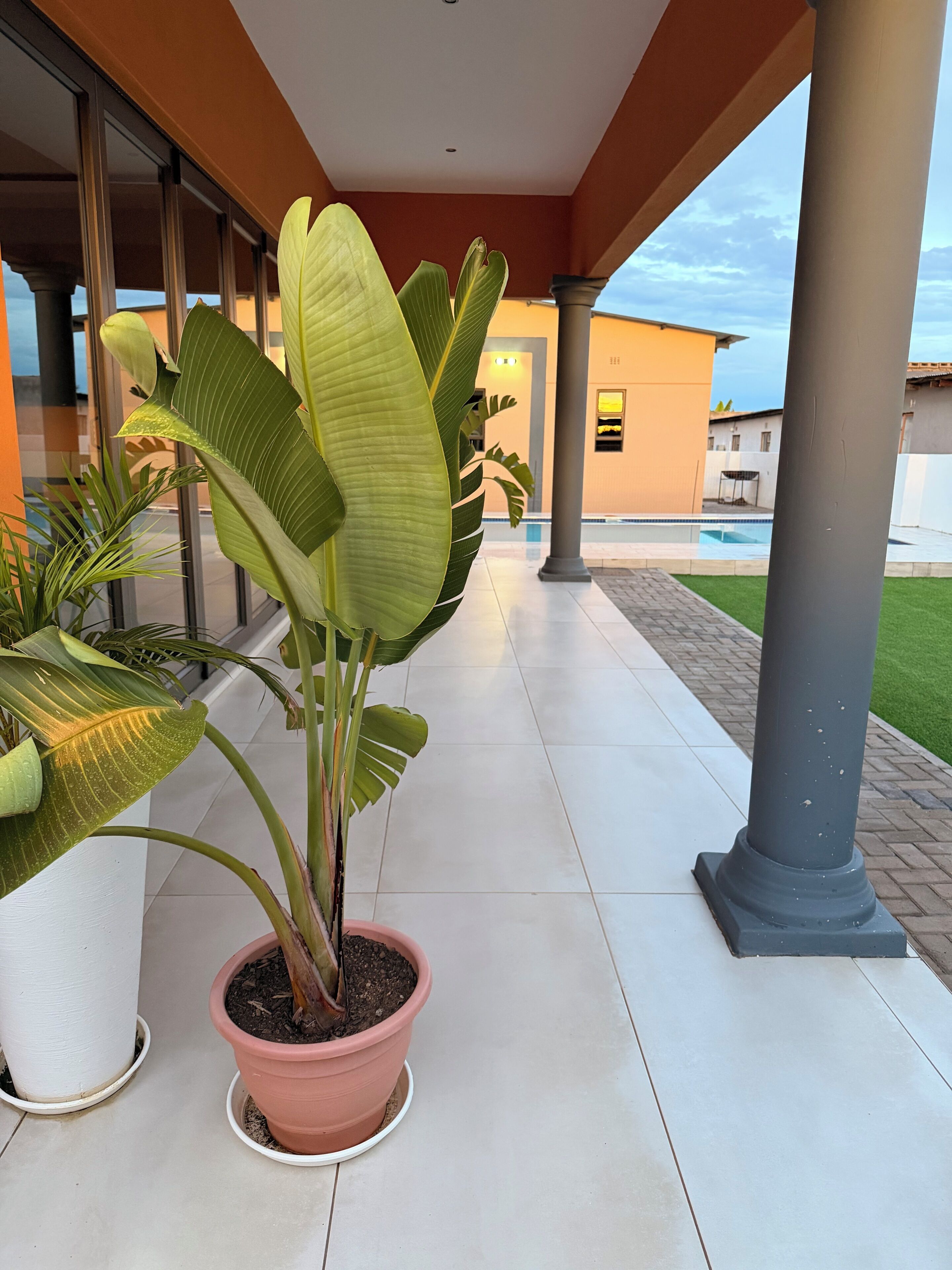 Executive Studio Suite, Pool View | Exterior detail