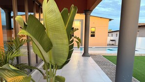 Una planta en maceta con hojas grandes, un camino de baldosas y un edificio con piscina al fondo.