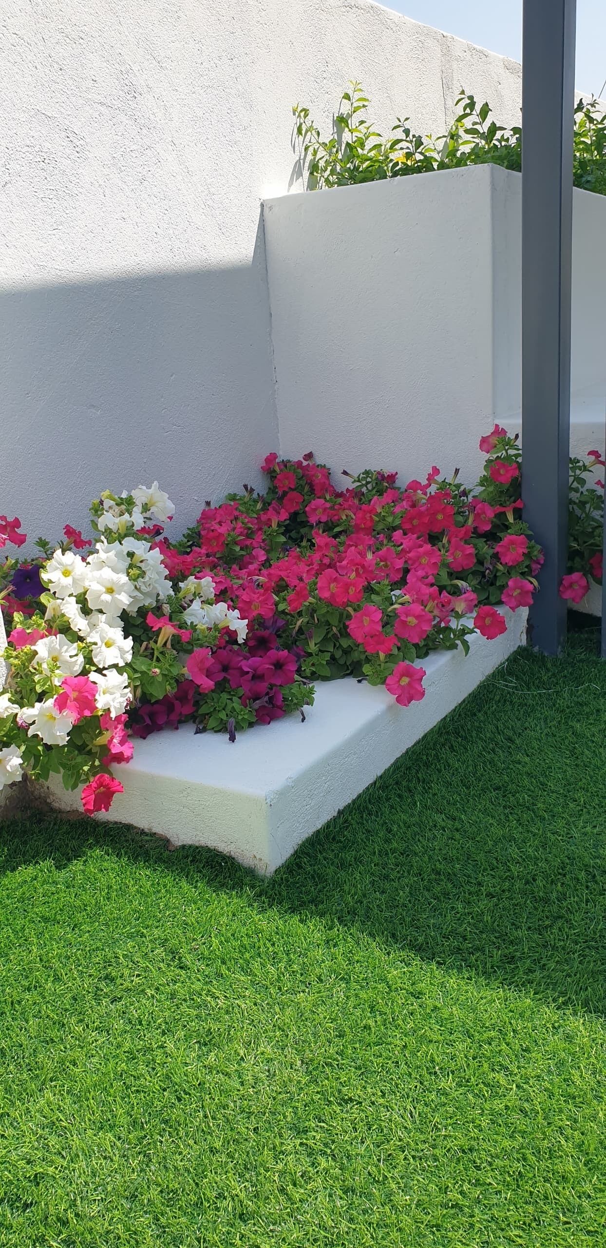 标准双人房 | 外观细节