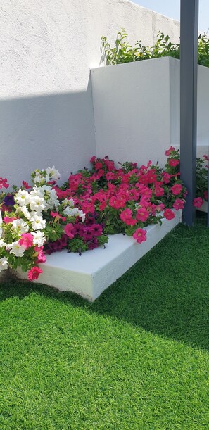 Chambre Double Standard | Détail de l’extérieur