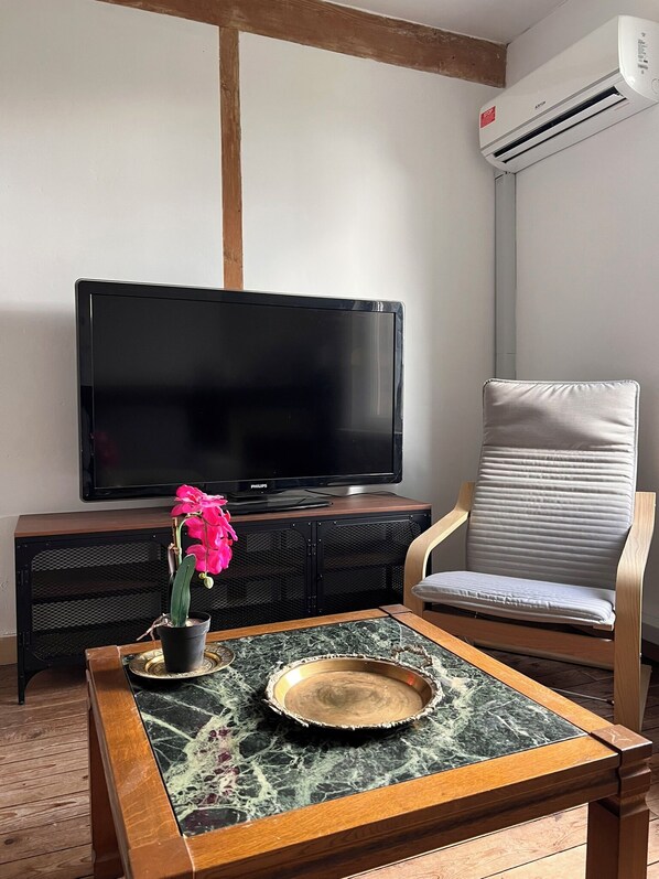 A living room with a flat-screen TV, a cushioned chair, a coffee table with a decorative plate, and a potted orchid.