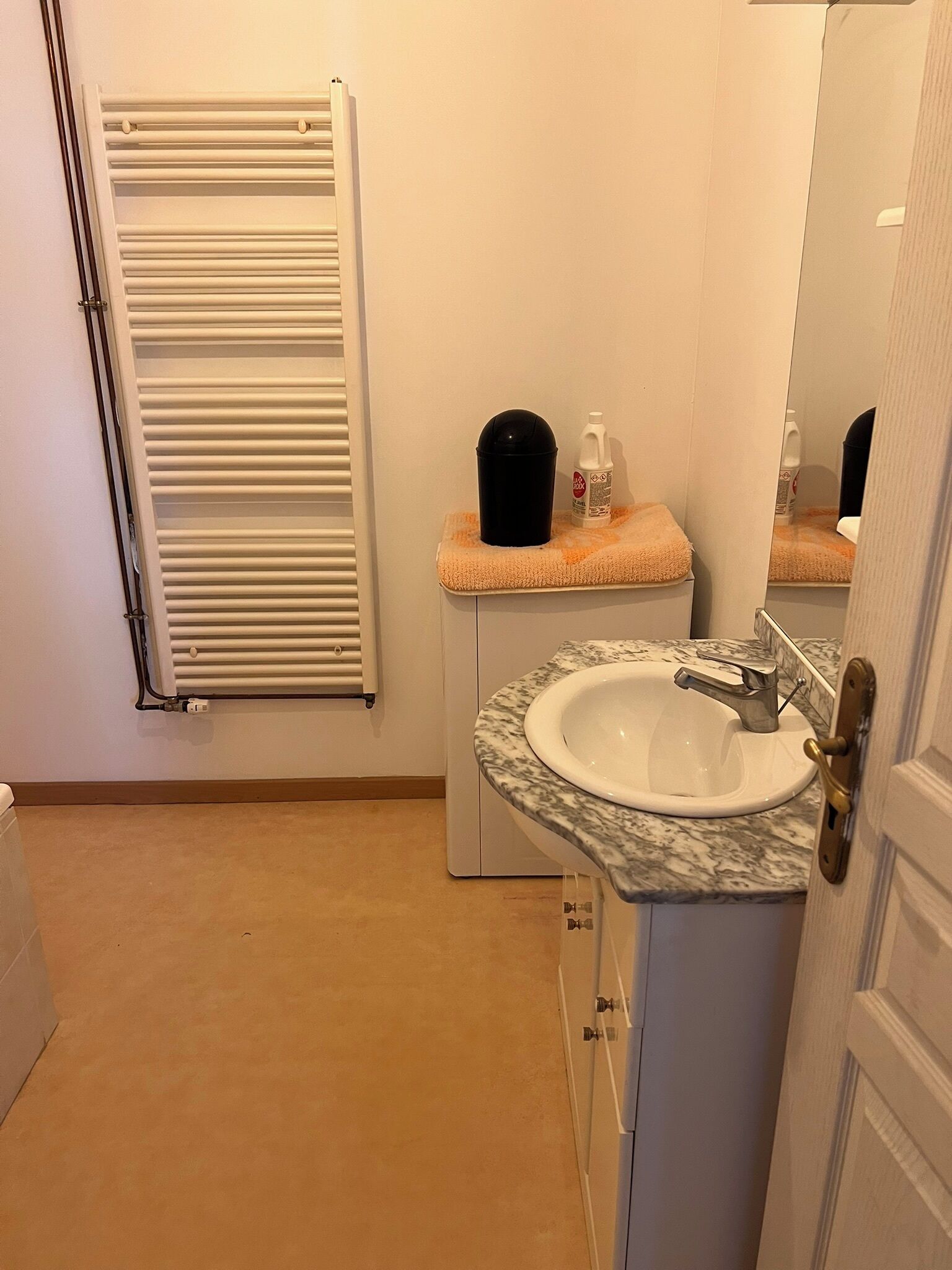 Une salle de bain avec un lavabo blanc, un miroir, un porte-serviettes et un radiateur.