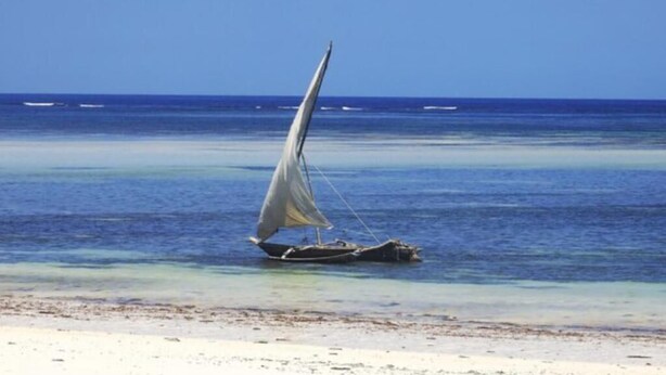 A boat with a sail on a beach. - Mountain Quest Inn (Marlinton)