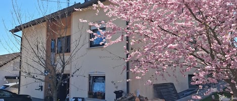 Udendørsområde