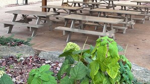 Un espace pique-nique abrité, doté de plusieurs tables de pique-nique en bois, avec un bâtiment en pierre en arrière-plan et une pelouse verdoyante.