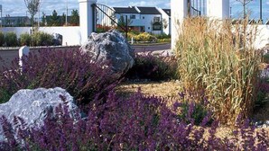 Un edificio de fachada blanca, con entrada protegida por una reja y un jardín ajardinado con flores moradas y rocas.