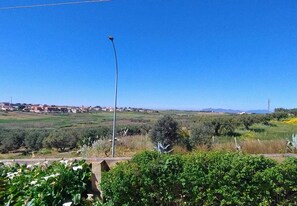 A rural landscape with a streetlight, greenery, and distant buildings.