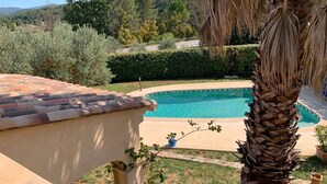 A swimming pool with a curved edge, surrounded by a well-maintained lawn and a palm tree. - Villa Du Grand Noyer (Lorgues)