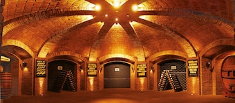 Chateau Montchenot Hotel de Cielo 