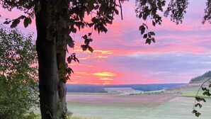 Un paysage avec un arbre au premier plan et un champ en arrière-plan.