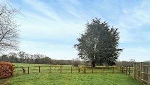 A fenced outdoor area with a large tree, a stack of hay, and a grassy field.