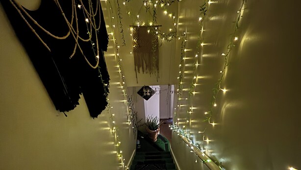 Un escalier décoré de guirlandes lumineuses, un vêtement noir accroché au mur et une plante en pot au pied de l’escalier.