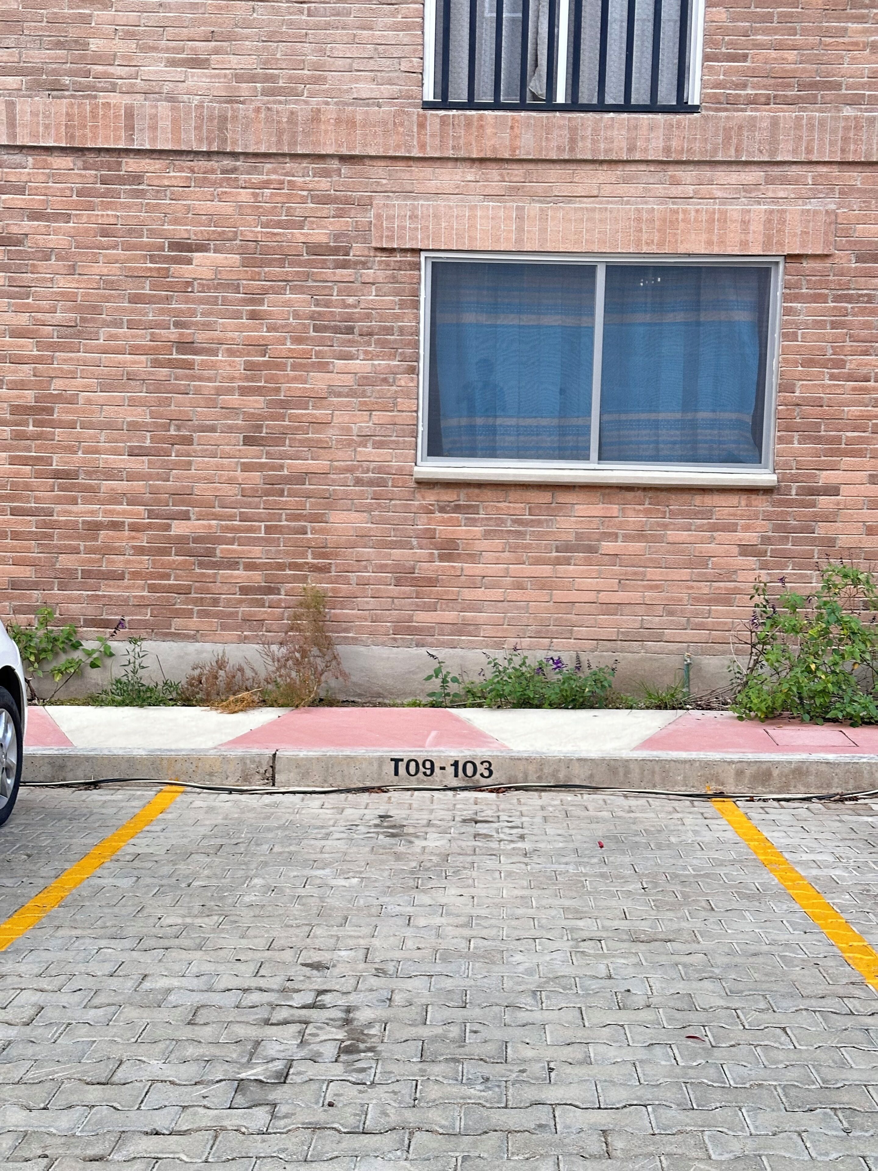 A brick building with a window and a curb marked 'T09-103'.