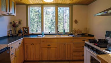 Cabin, Multiple Beds, Patio, Mountain View (Off Grid Retreat) | Private kitchen