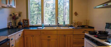 Cabin, Multiple Beds, Patio, Mountain View (Off Grid Retreat) | Private kitchen
