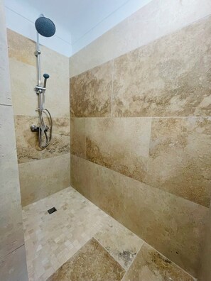 Shower, hair dryer, toilet paper - /New air-conditioned country house with heated indoor pool, Provence (Puyméras)