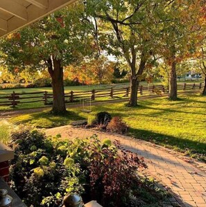 Property grounds - A luxury farmhouse - 6 bedrooms, pool on 12 acres (Belleville)