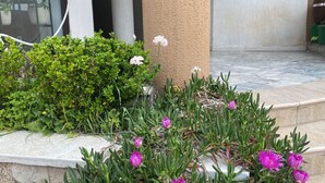 A garden area with various plants and flowers, a concrete pathway, and a building entrance with a textured wall. - City Suites Budva  (Budva)
