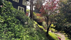 Una casa de exterior oscuro, con una ventana visible y un árbol de hojas rojas.