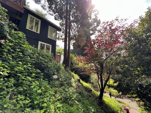 Property grounds - Madrona Craftsman Retreat Near Lake Washington (Seattle)