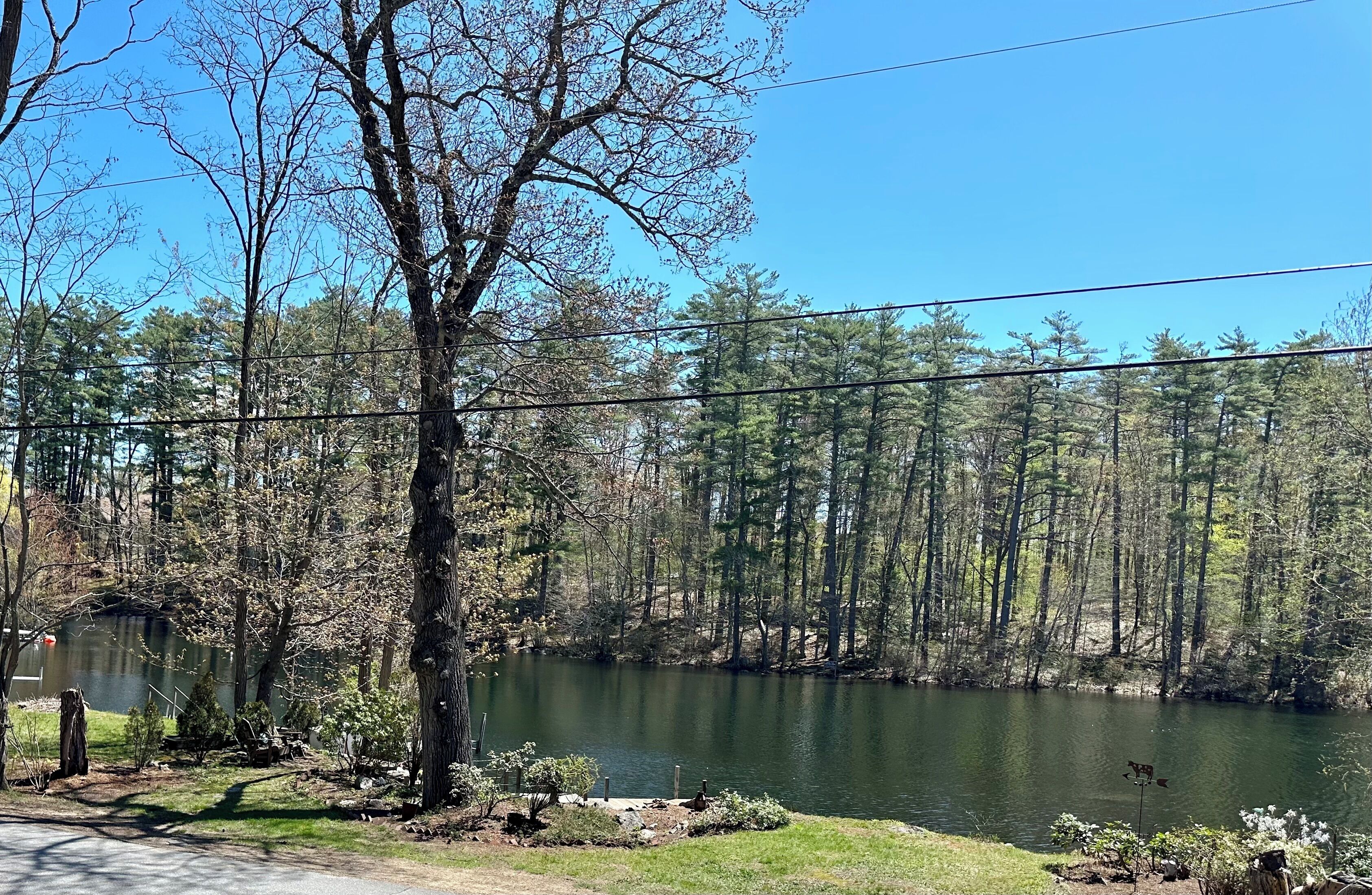 Vista tranquila de um lago, com árvores, céu claro e uma linha de energia visível.