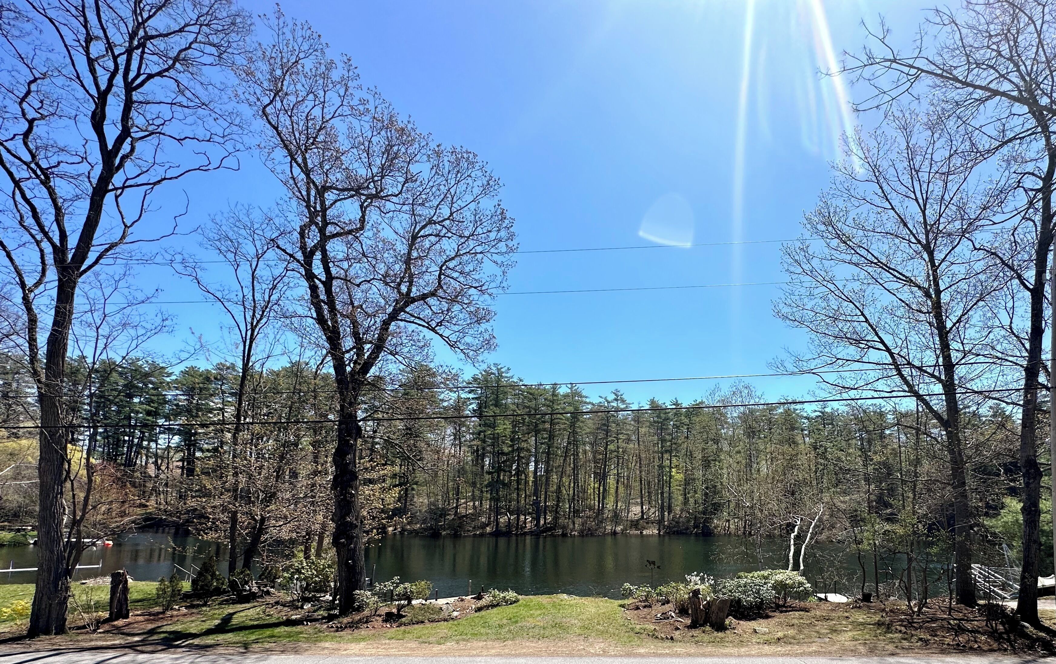 Vista de un lago con árboles, cielo despejado y una línea de electricidad visible.
