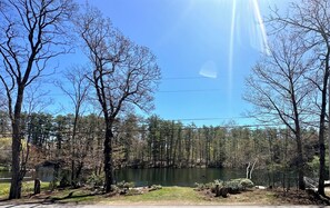 A lakeside view with trees, a clear sky, and a visible power line. - Lakeview Blue (Meredith)