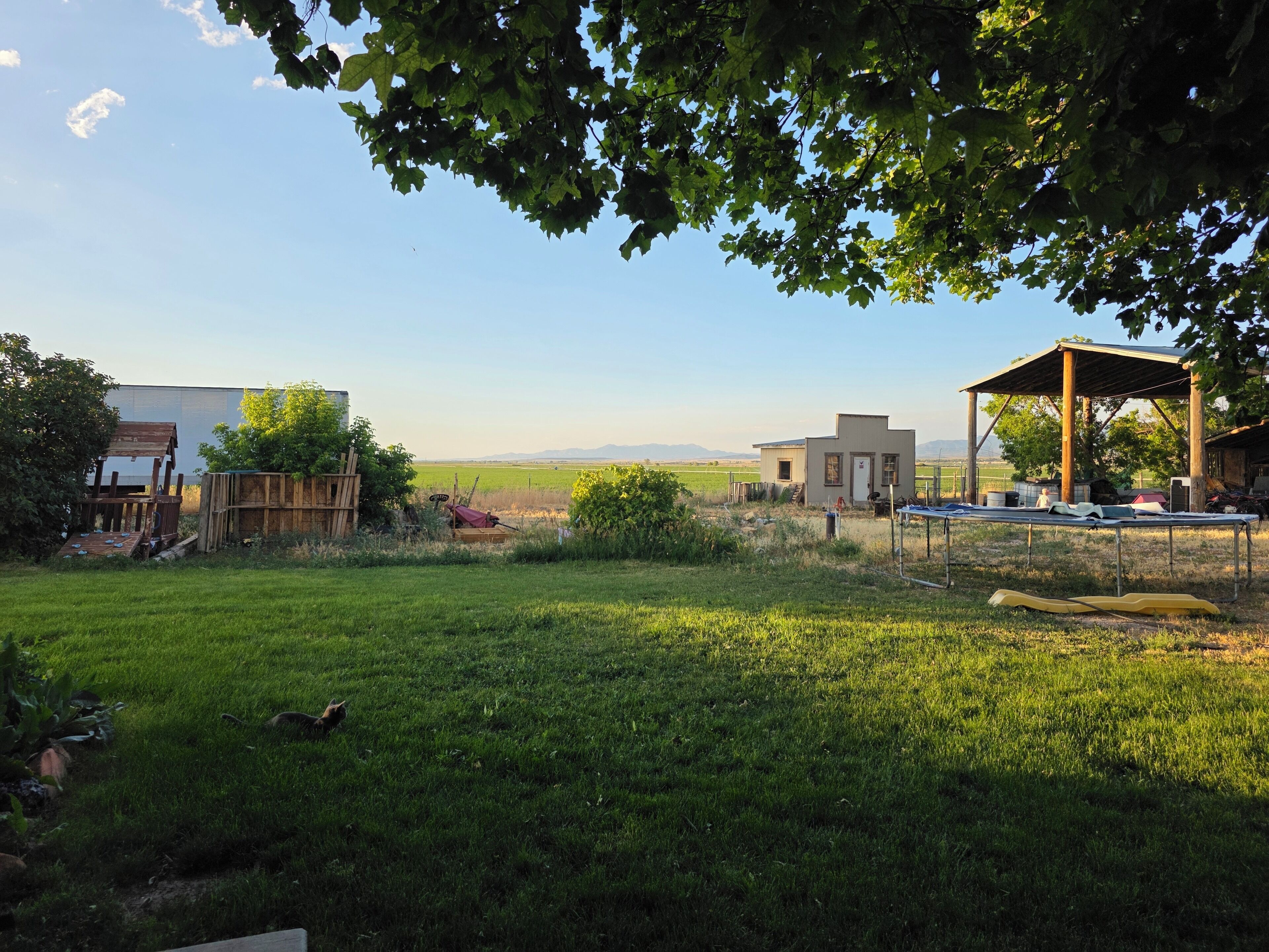 Property grounds