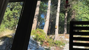 Vista desde una ventana a un área boscosa con árboles altos, un banco de madera y un comedero para pájaros.