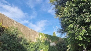Une piscine entourée de verdure et bordée d’un mur de pierre.