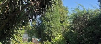 Maison vigneronne avec jardin et piscine