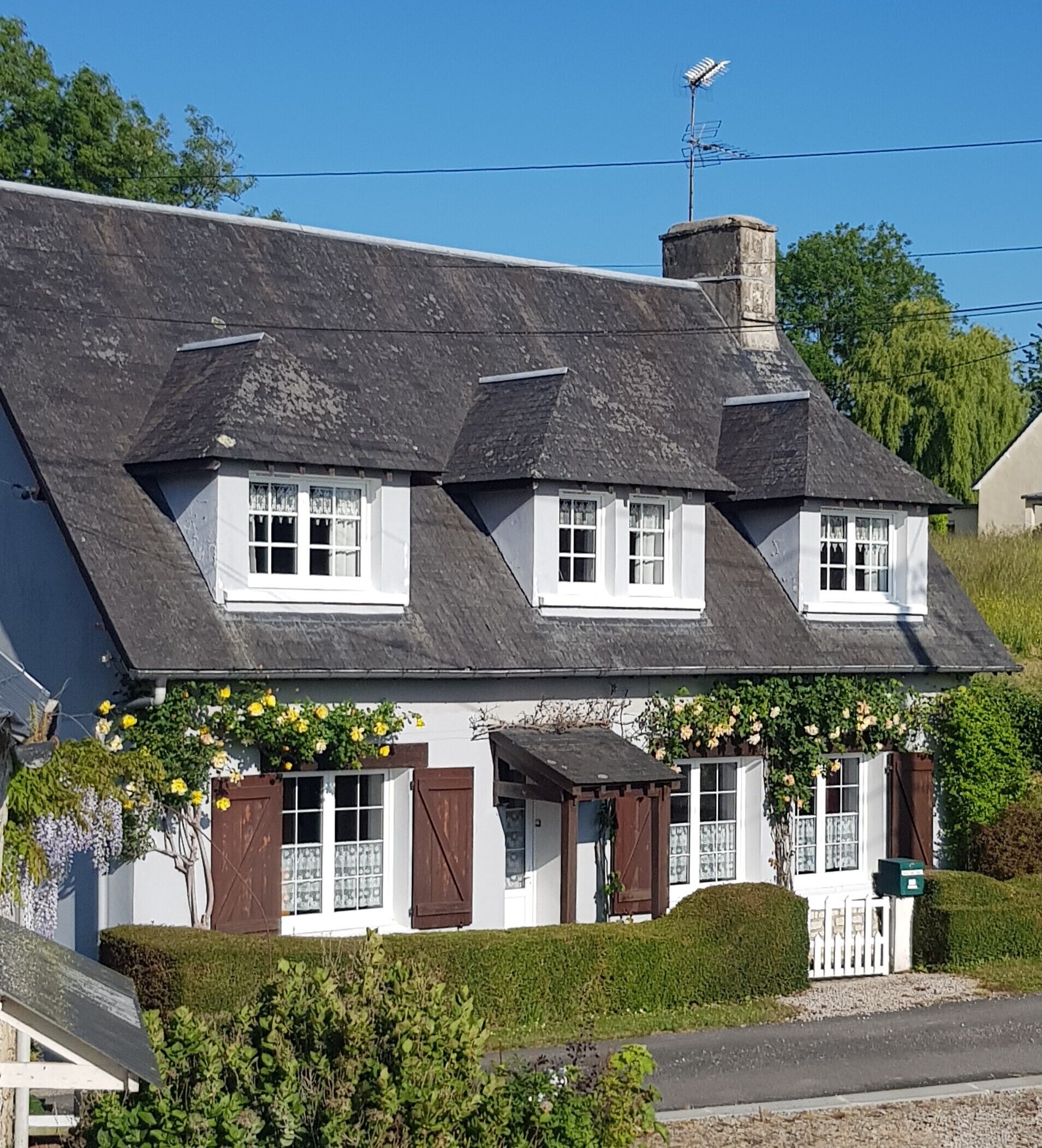 Extérieur