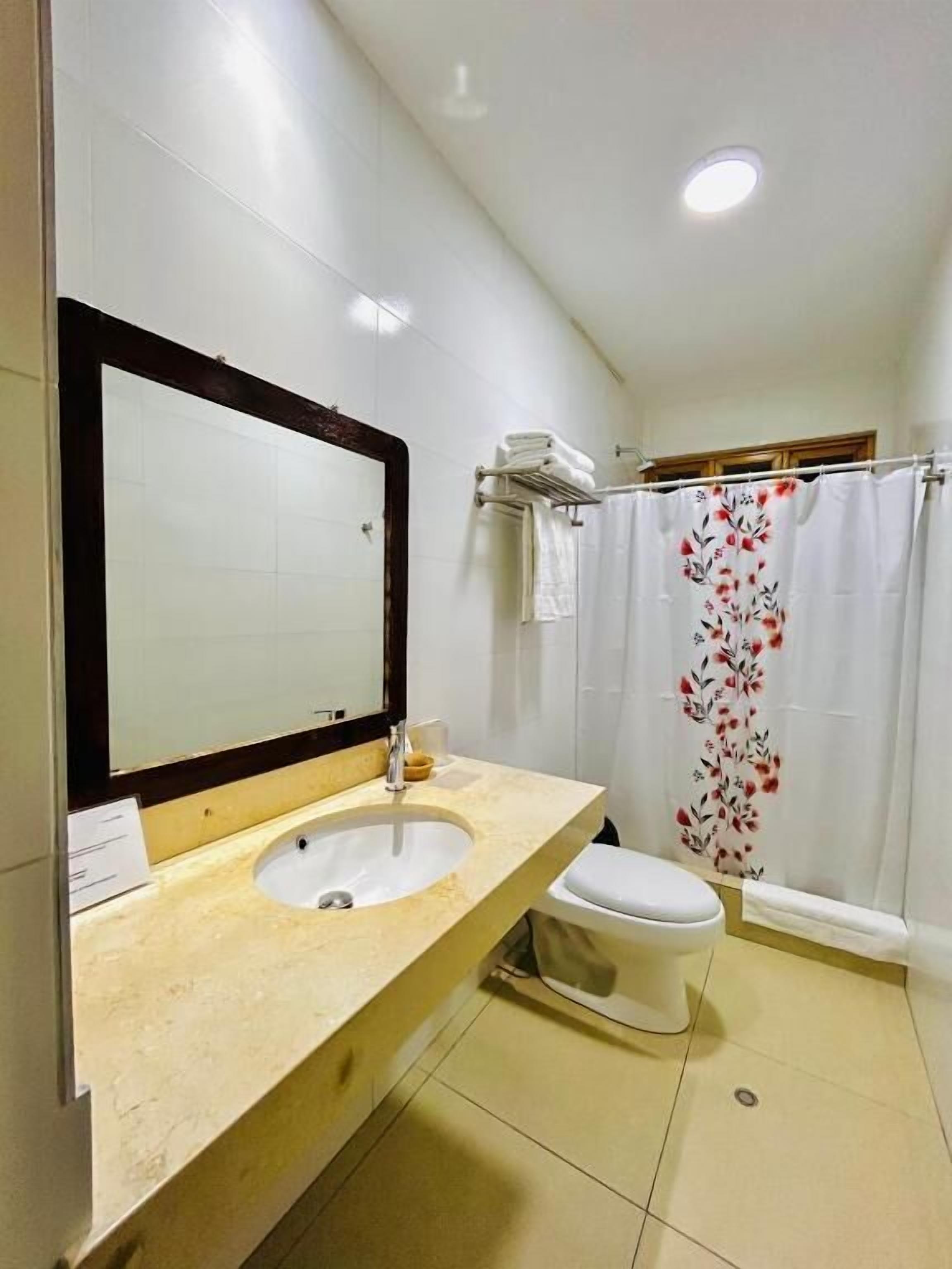 A bathroom with a sink, mirror, toilet, shower curtain, and a towel rack.