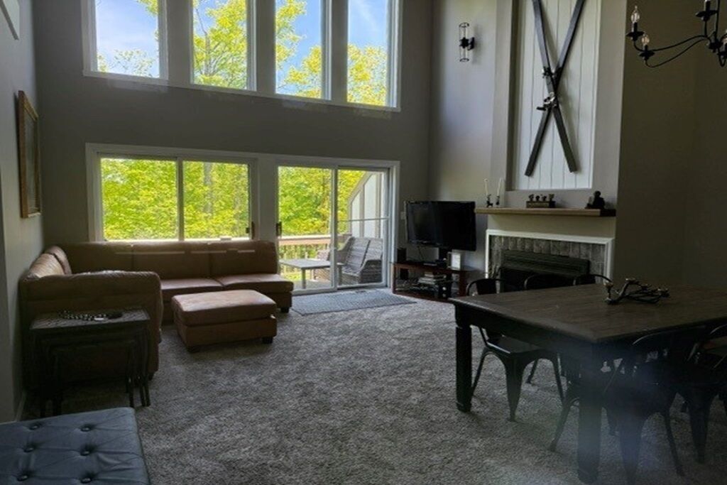 TV, fireplace, books