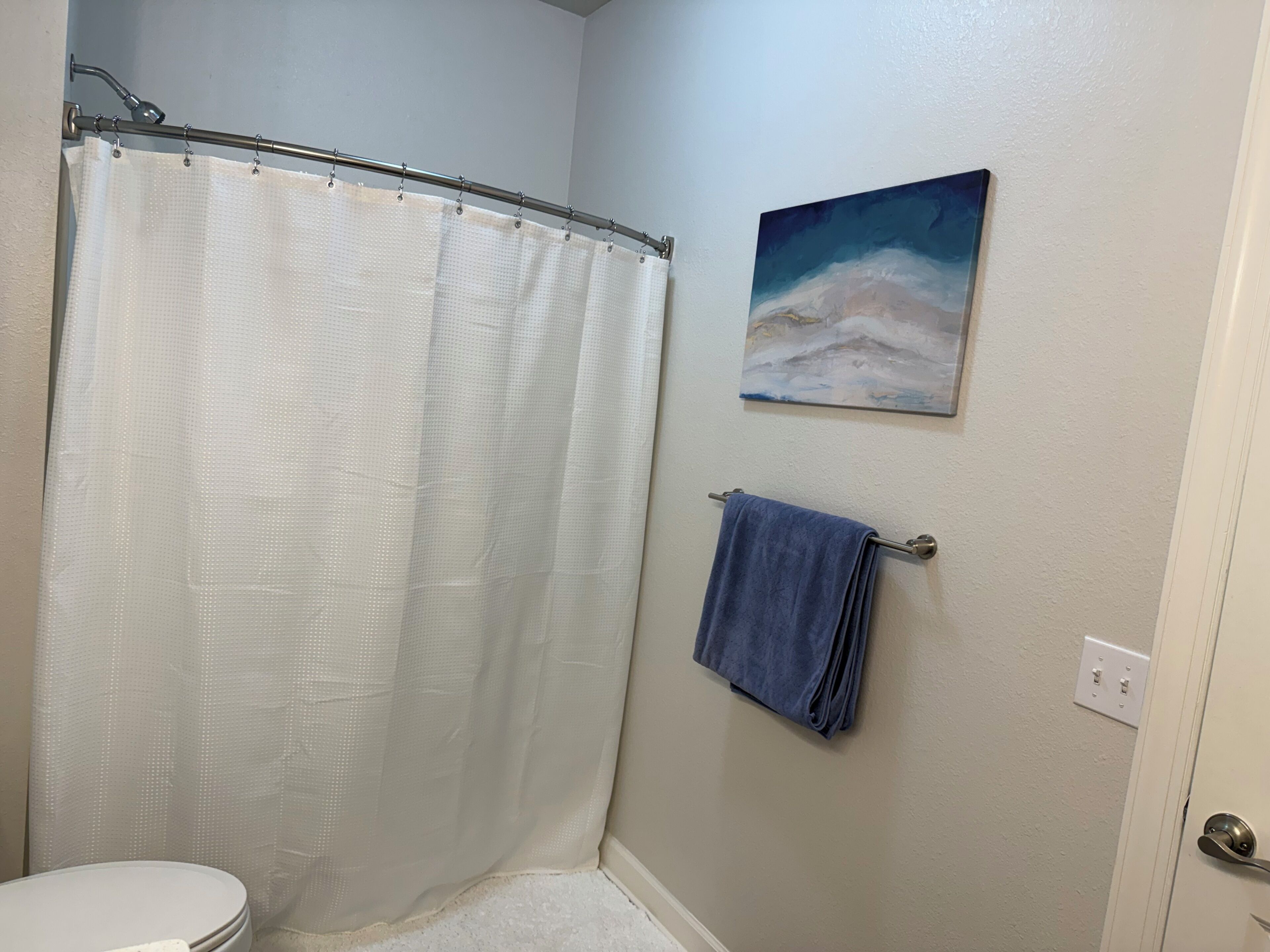 Un baño con cortina de ducha, un perchero con toalla y un cuadro en la pared.