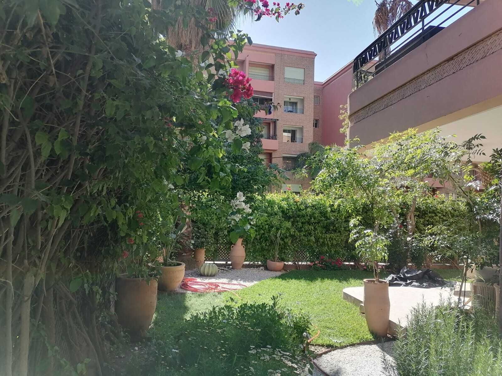 A courtyard with potted plants, a grassy area, and a building with balconies.