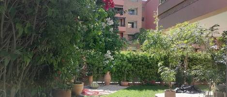 A courtyard with potted plants, a grassy area, and a building with balconies.