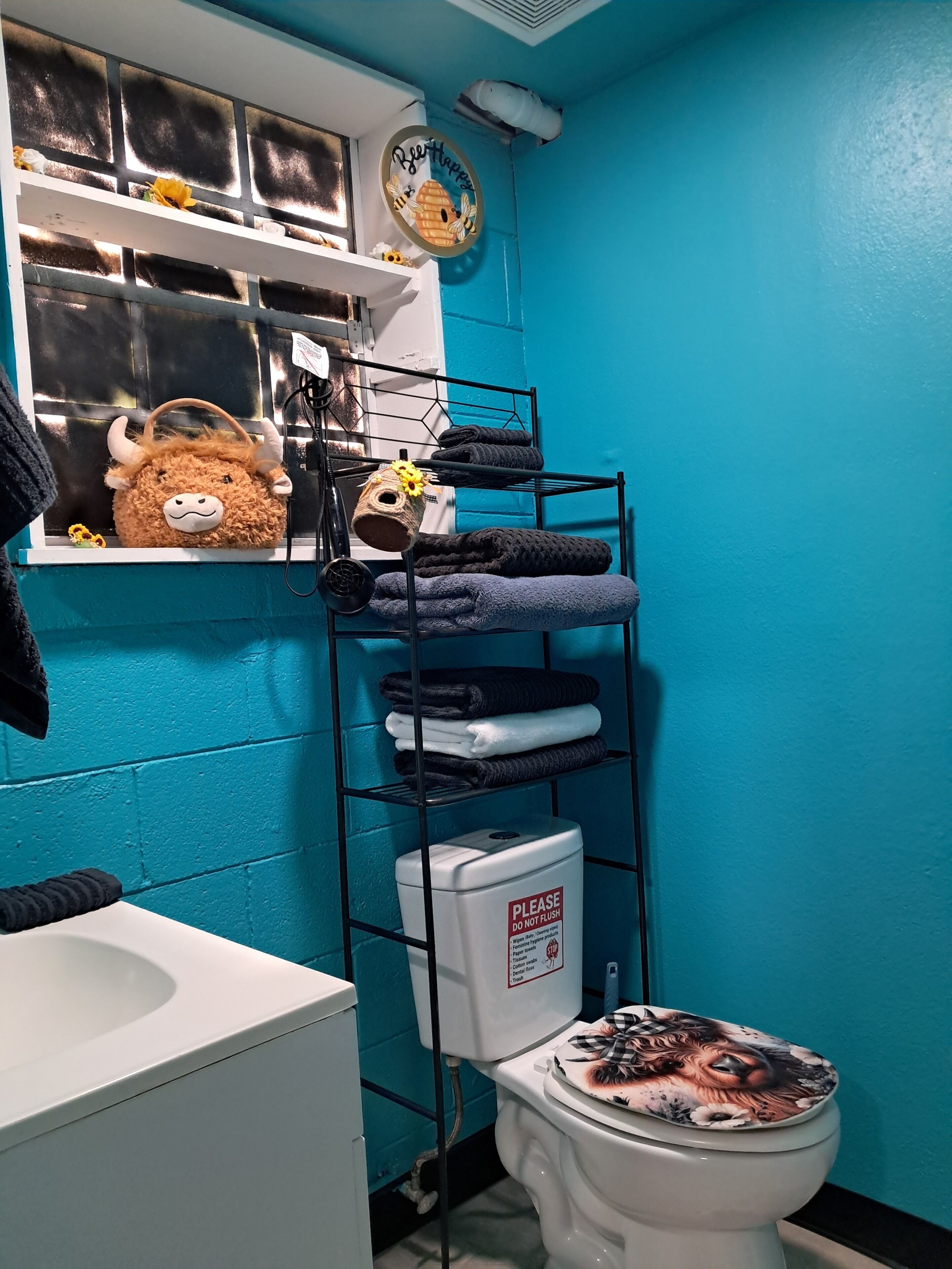 Hair dryer, towels, toilet paper