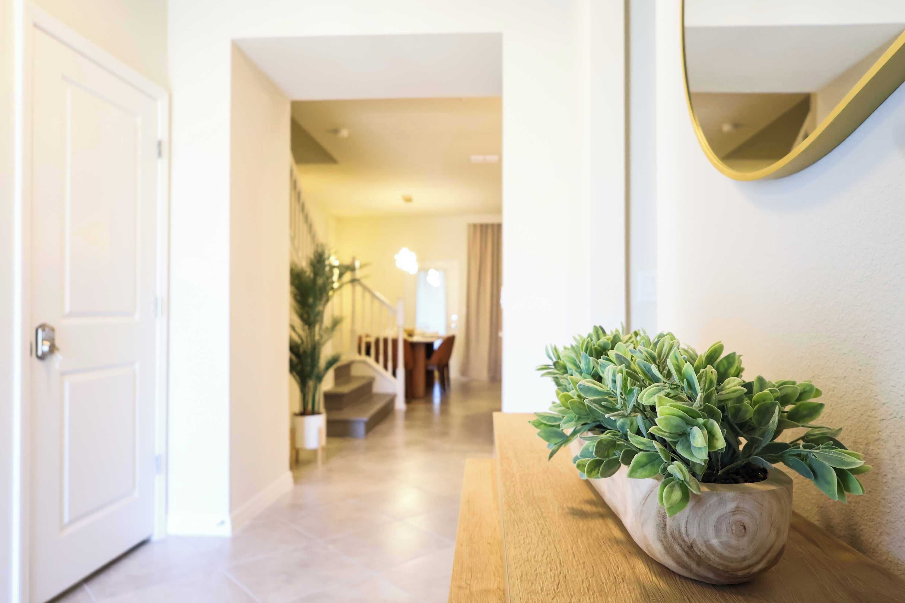 Un couloir avec un banc en bois, une plante en pot et un miroir accroché au mur.
