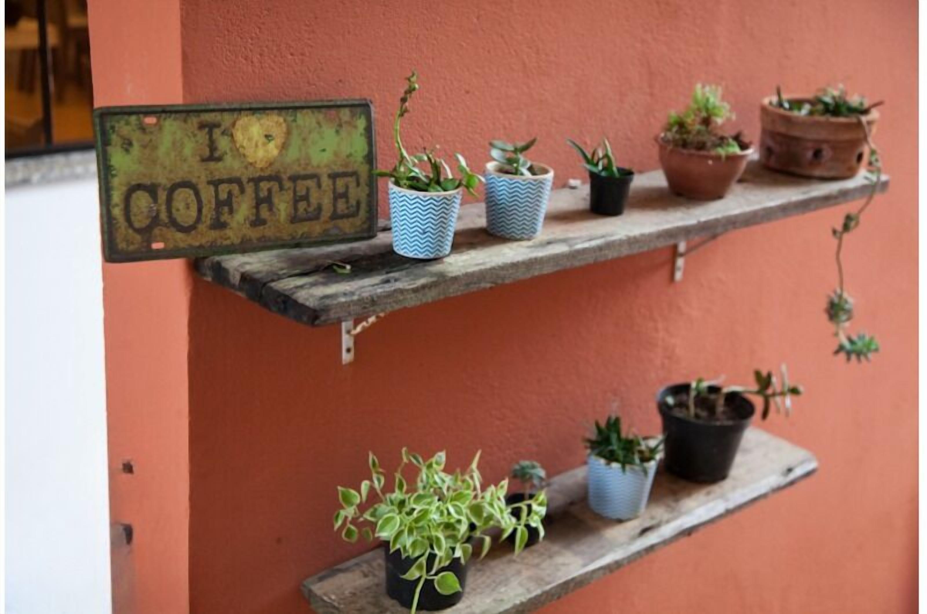 A rustic wall with a 'I ♥ COFFEE' sign and multiple shelves holding potted plants.