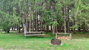A picnic area with benches and a fire pit in a forested setting. - Tempest Ranch Camp is perfect for nature lovers. Close to Watkins Glen. (Beaver Dams)