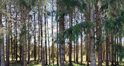 Tempest Ranch Camp is perfect for nature lovers. Close to Watkins Glen.