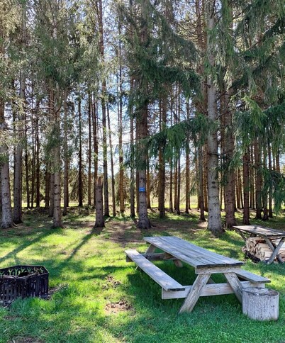 Tempest Ranch Camp is perfect for nature lovers. Close to Watkins Glen.