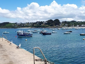 A harbor with boats, a concrete dock, and seagulls. - Ty Breizh - TREDREZ LOCQUEMEAU (TREDREZ LOCQUEMEAU)