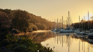 Een rustige rivier met aan de rechterkant aangemeerde boten, omringd door bomen en begroeiing.