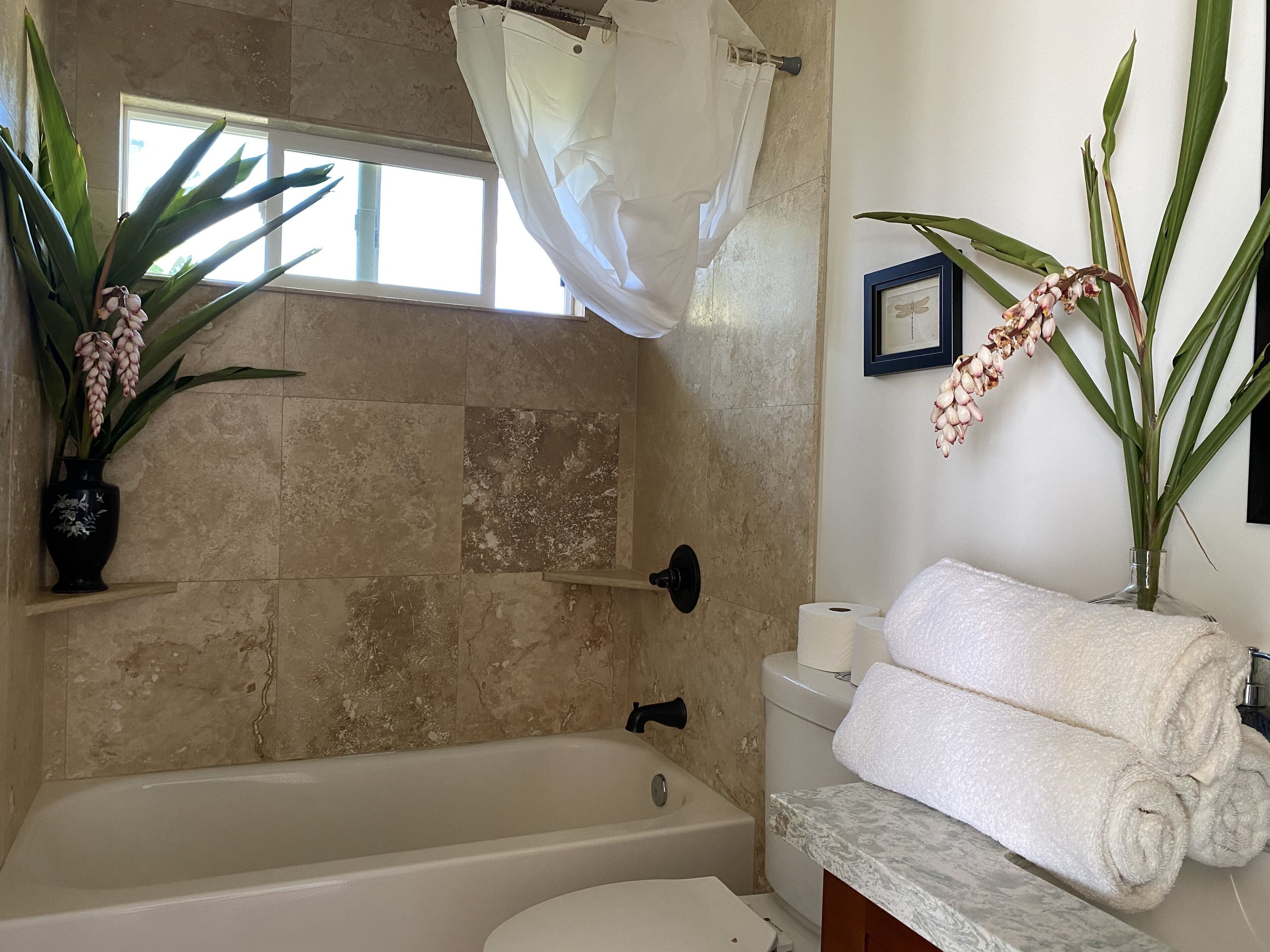 Hair dryer, towels, soap, shampoo