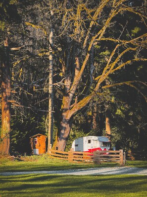 Exterior - "Darla" the Glamping Trailer at Ashford Lodge (Ashford)