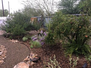 Área da propriedade