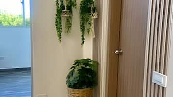 Apartment | Interior