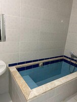 Deluxe Penthouse, Balcony, Park View | Bathroom